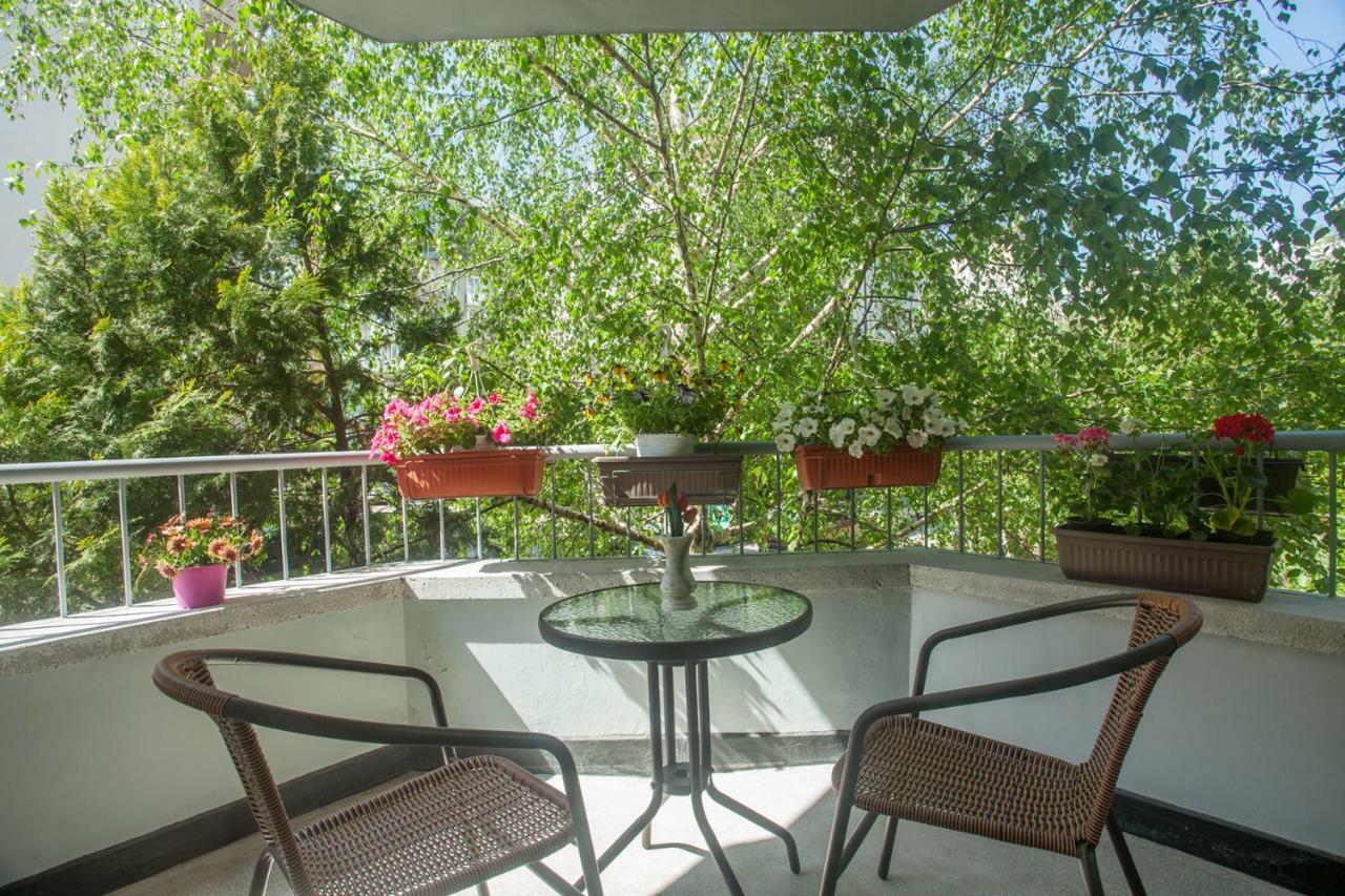 Spacious Flat Close To The American Embassy Sofia Eksteriør billede